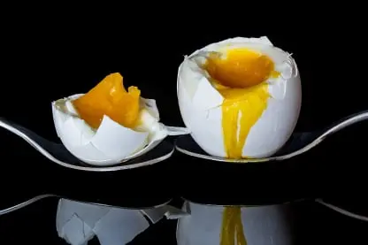 Egg quality inspection app