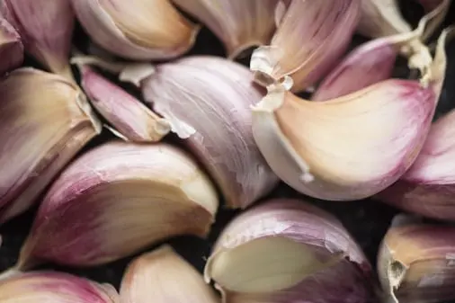 Garlic quality inspection app