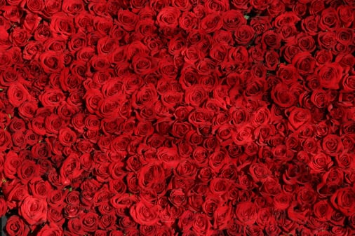 Flower quality control inspection app