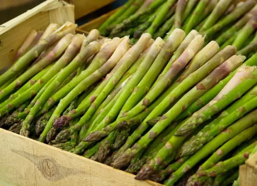 Asparagus quality inspection app 