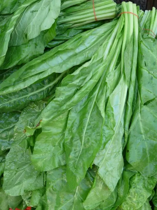 Spinach quality inspection app