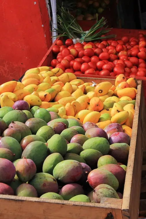 Mango traceability app