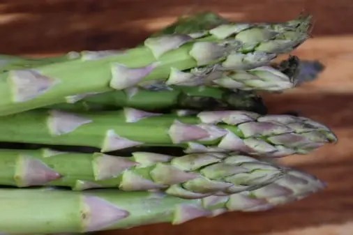 Asparagus traceability app