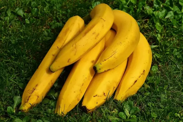 Banana traceability app