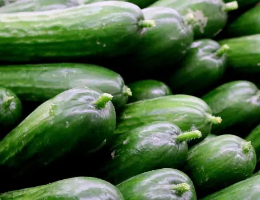 Cucumber traceability app
