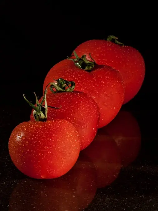 Tomato traceability app