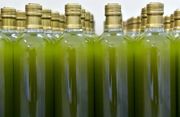 Olive oil Traceability