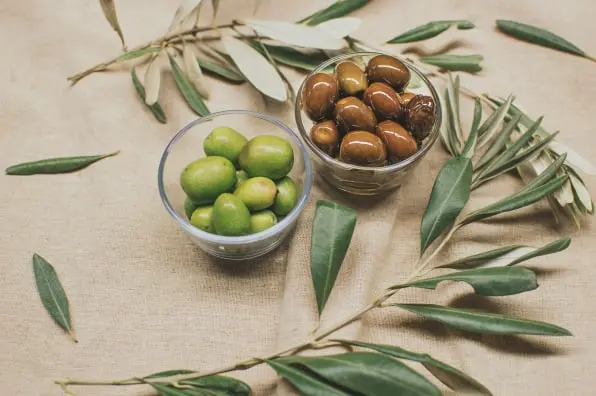 Olive Traceability app