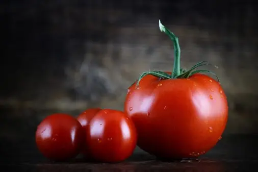 Tomato traceability app